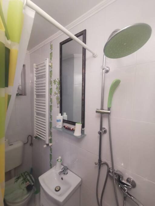 Tth Apartament Appartement Timişoara Buitenkant foto
